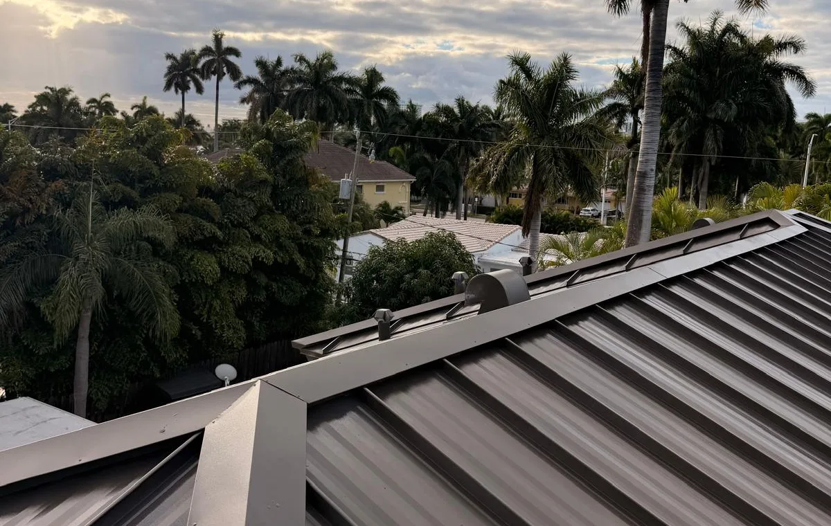 Coated standing-seam metal roof among palm trees
